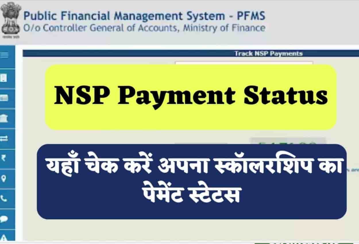 NSP Payment Status