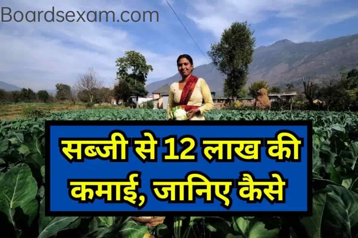 किसान सब्जी से कमा रहा है 12 लाख रु